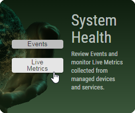 grafik-20250304-132027.png