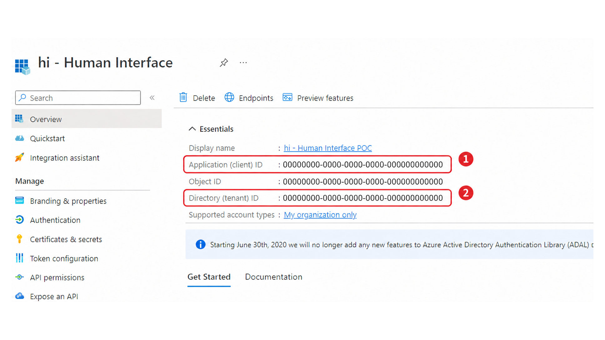 Microsoft Entra ID Application Overview with Application and Directory IDs