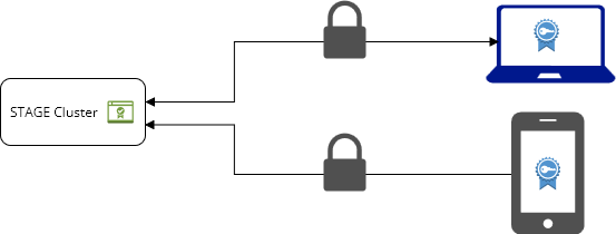 STAGE_HttpsCertificate_1.0.drawio.png